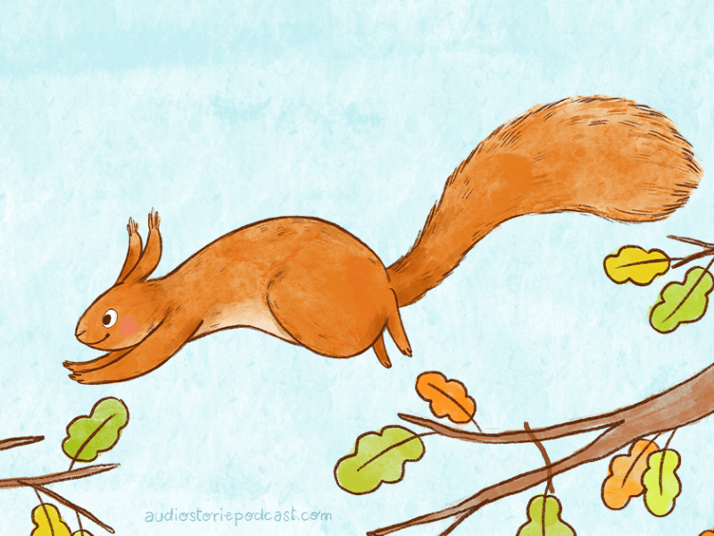 Conosciamo lo scoiattolo&nbsp;rosso