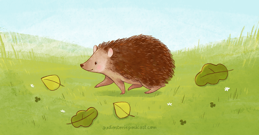 Conosciamo il riccio