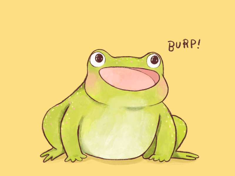 10. La storia di&nbsp;Burp