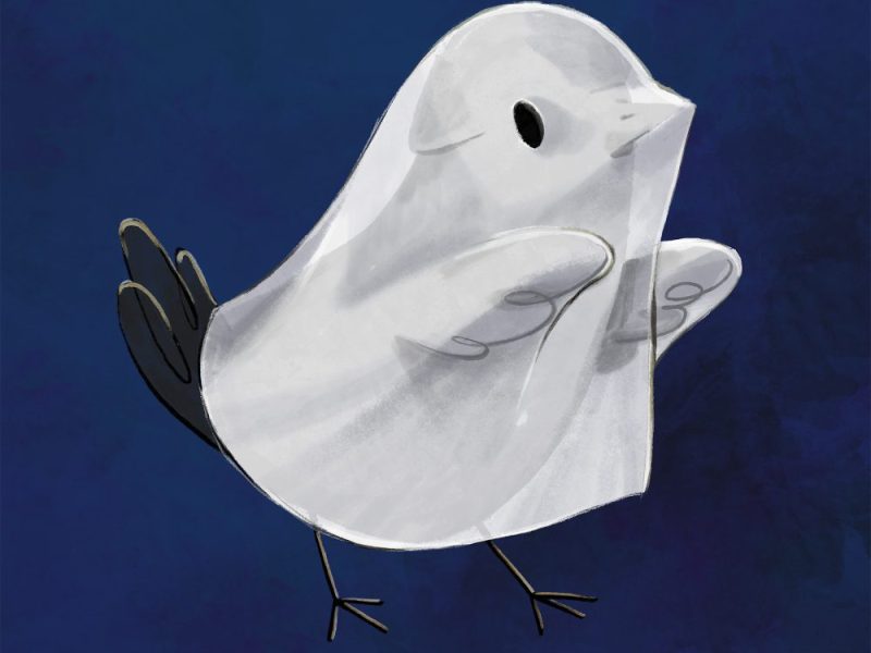 19. Halloween al Bosco dei&nbsp;Centopiedi