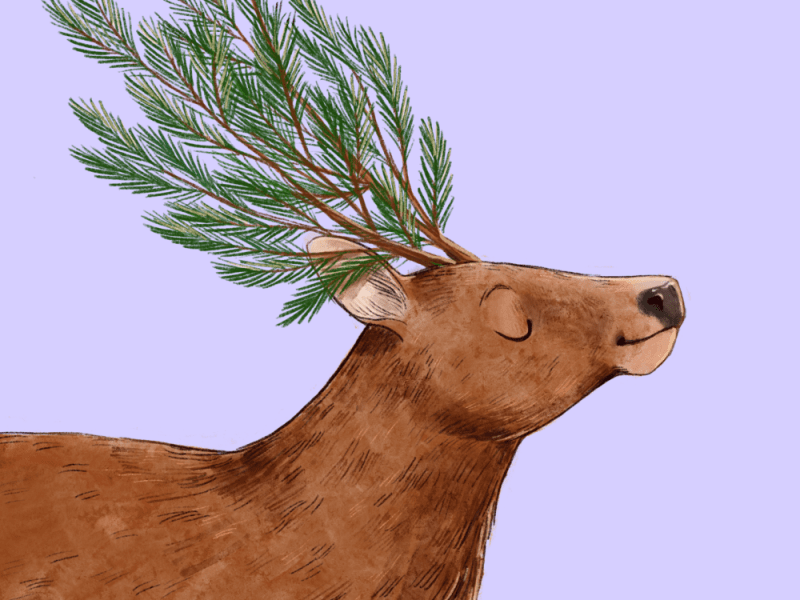 37.Le corna di Sine&nbsp;Cornibus