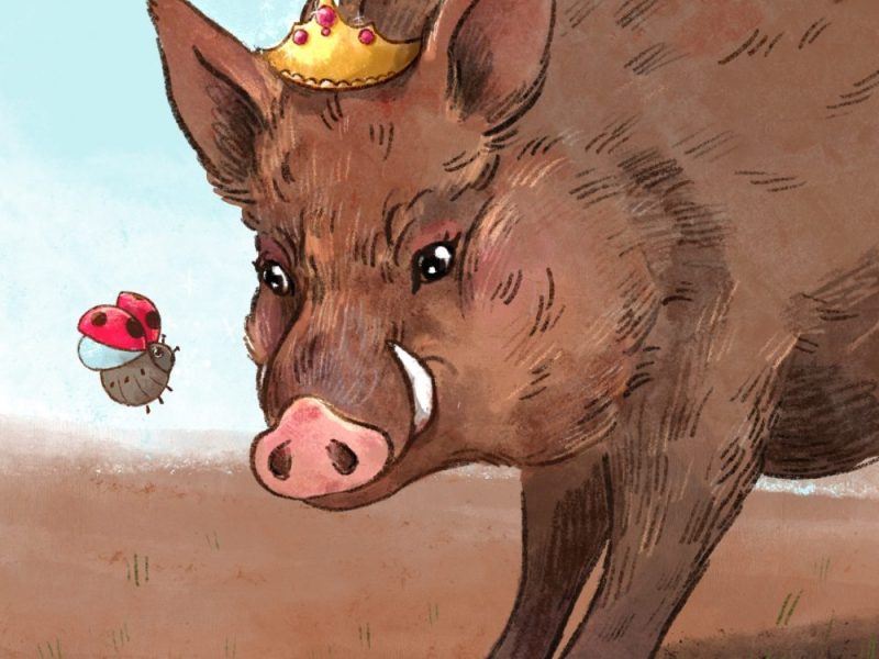 43. Brilla e il regno di Fangassa – seconda&nbsp;parte