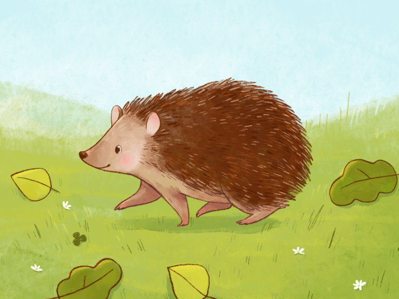 20. Il riccio Biri Biri trova un grande&nbsp;amico