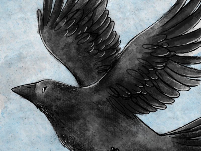 28. Il ritorno di Sbarabau – prima&nbsp;parte